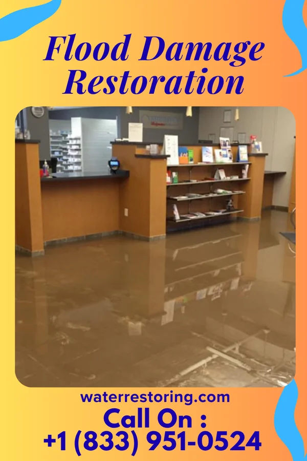 Flood Damage Restoration in Stephenson, MI