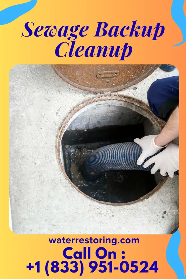 Sewage Backup Cleanup in Stephenson, MI