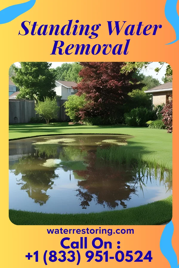 Standing Water Removal in Stephenson, MI